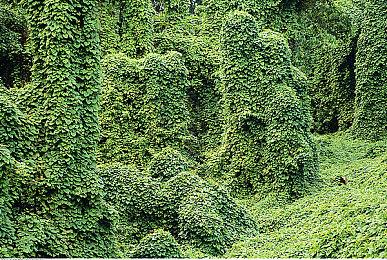 《使命召唤19》PC和Xbox版玩家无法禁用跨平台游戏