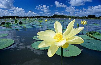 《龙腾世纪：影障守护者》实机片花和新截图发布